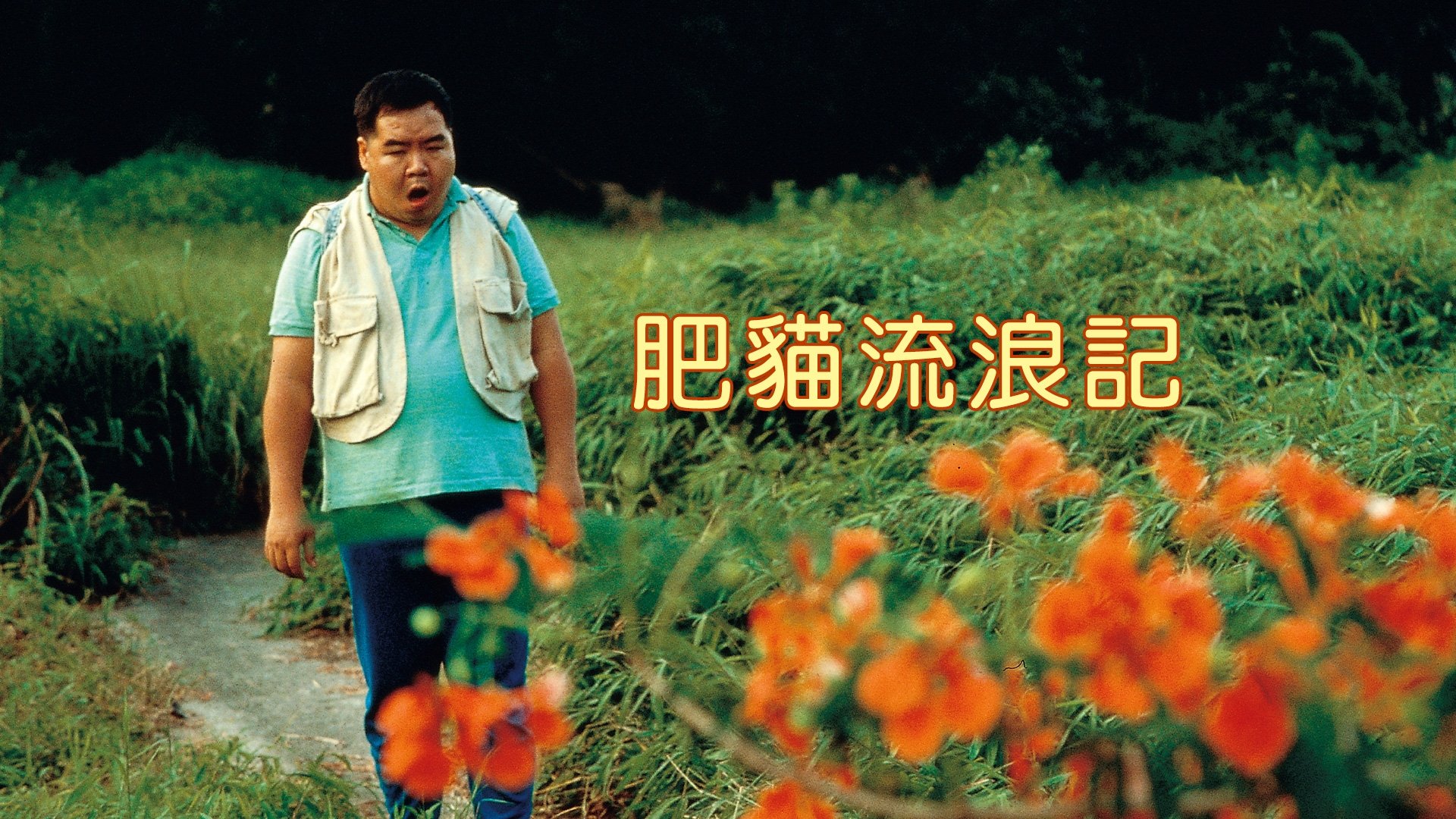 bg-hero